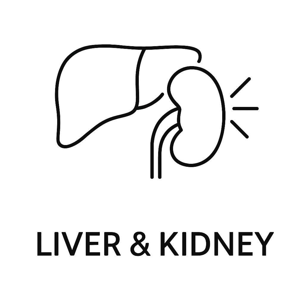 Liver & Kidney